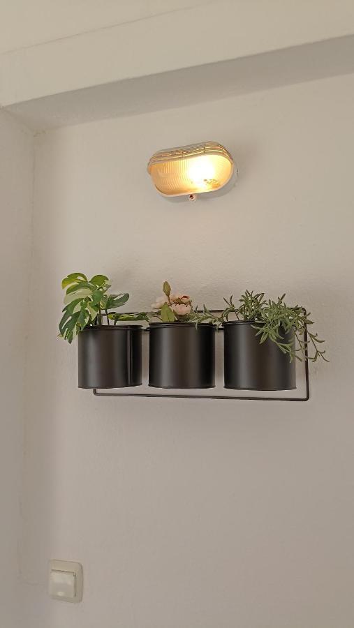 VI Home ペフコホリ エクステリア 写真